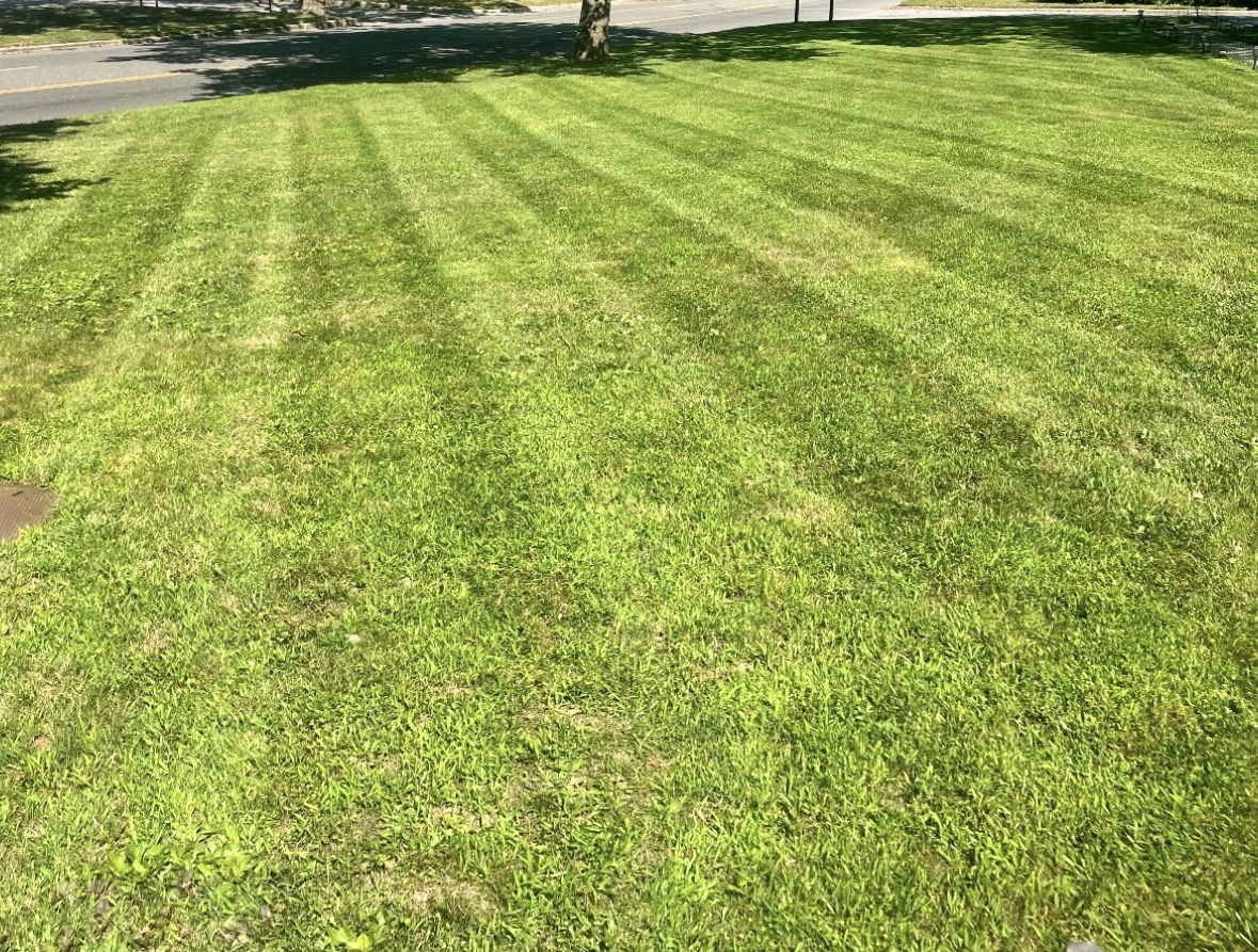 Freshly mowed lawn with clean mowing stripes on a Long Island property maintained by CMJ Landscaping