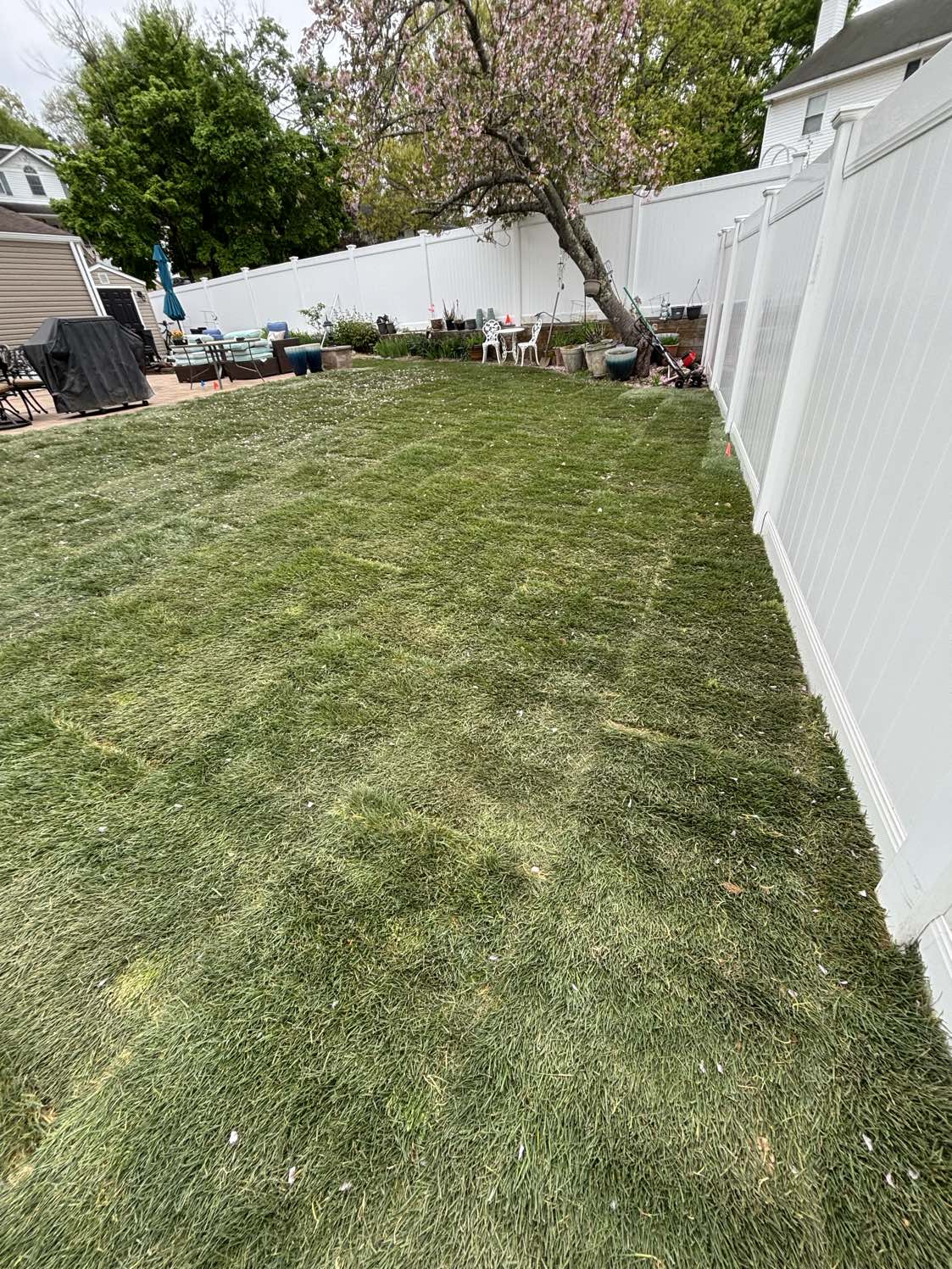 Sod Installation project by CMJ Landscaping